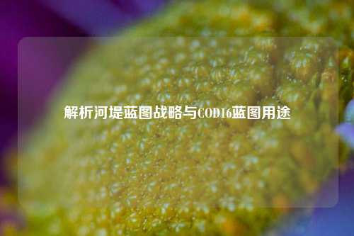 解析河堤蓝图战略与COD16蓝图用途