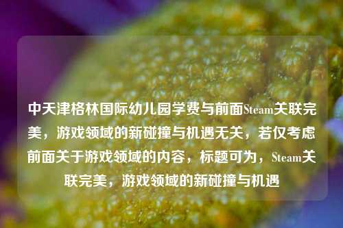 中天津格林国际幼儿园学费与前面Steam关联完美，游戏领域的新碰撞与机遇无关，若仅考虑前面关于游戏领域的内容，标题可为，Steam关联完美，游戏领域的新碰撞与机遇