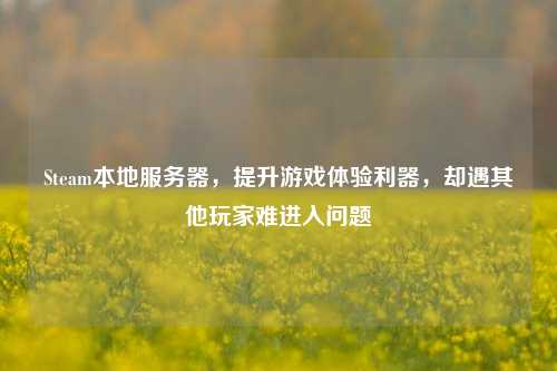 Steam本地服务器,提升游戏体验利器,却遇其他玩家难进入问题