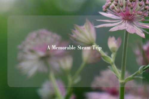 A Memorable Steam Trip