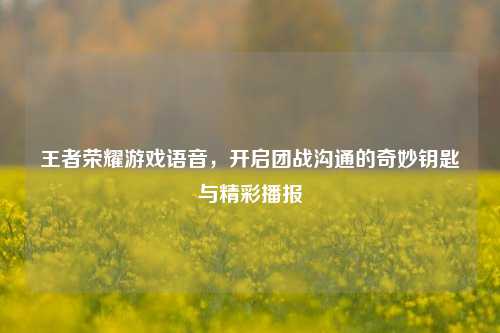 王者荣耀游戏语音,开启团战沟通的奇妙钥匙与精彩播报