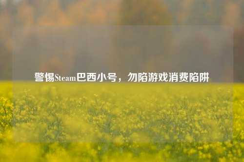 警惕Steam巴西小号，勿陷游戏消费陷阱