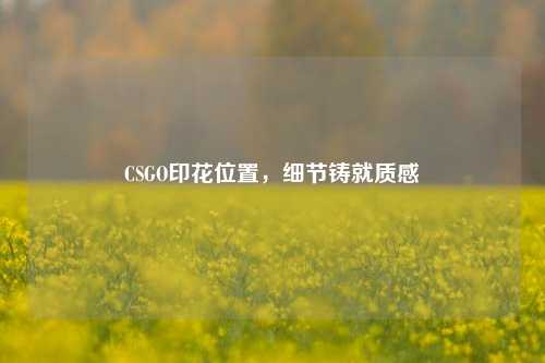 CSGO印花位置,细节铸就质感