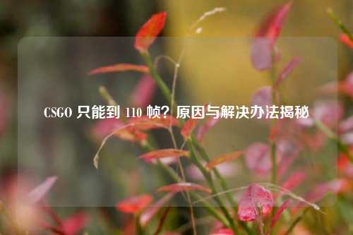 CSGO 只能到 110 帧？原因与解决办法揭秘