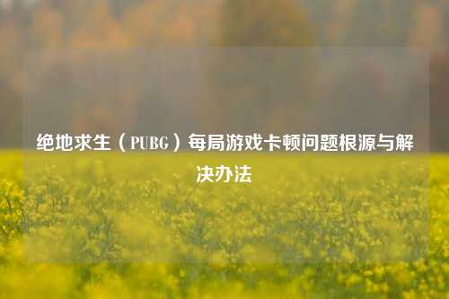 绝地求生（PUBG）每局游戏卡顿问题根源与解决办法