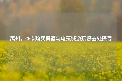 禹州,CF卡购买渠道与电玩城游玩好去处探寻