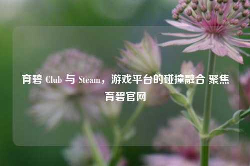 育碧 Club 与 Steam,游戏平台的碰撞融合 聚焦育碧官网