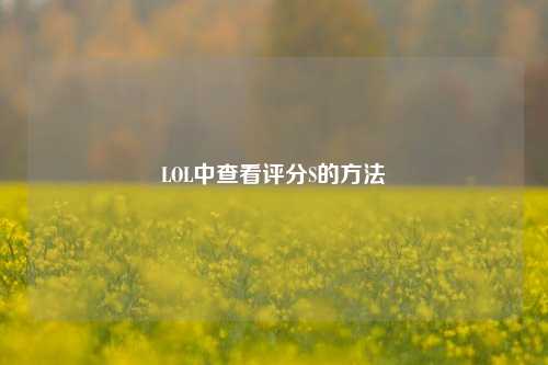LOL中查看评分S的方法