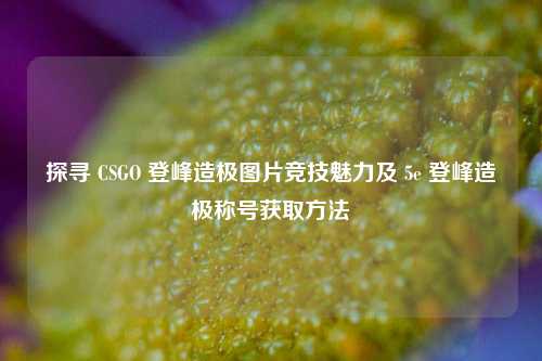 探寻 CSGO 登峰造极图片竞技魅力及 5e 登峰造极称号获取方法