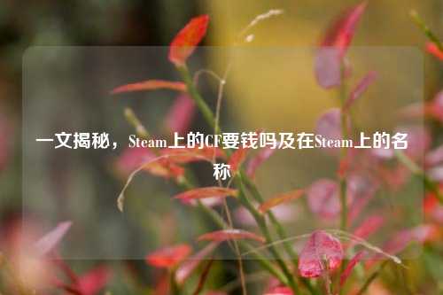 一文揭秘，Steam上的CF要钱吗及在Steam上的名称