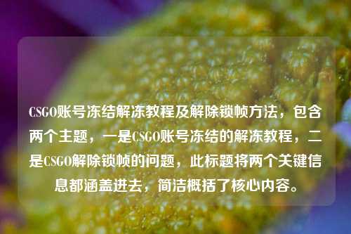 CSGO账号冻结解冻教程及解除锁帧方法,包含两个主题,一是CSGO账号冻结的解冻教程,二是CSGO解除锁帧的问题,此标题将两个关键信息都涵盖进去,简洁概括了核心内容。