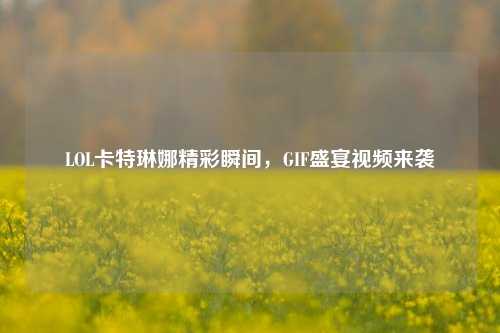 LOL卡特琳娜精彩瞬间,GIF盛宴视频来袭