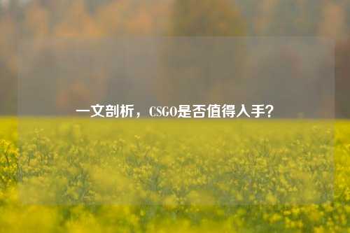 一文剖析，CSGO是否值得入手？