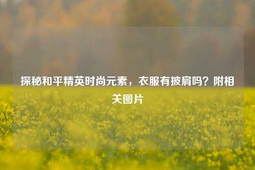 探秘和平精英时尚元素,衣服有披肩吗?附相关图片