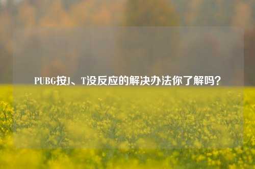 PUBG按J、T没反应的解决办法你了解吗?