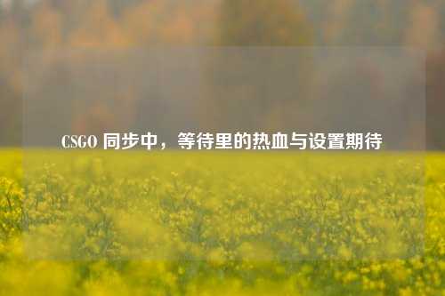 CSGO 同步中,等待里的热血与设置期待