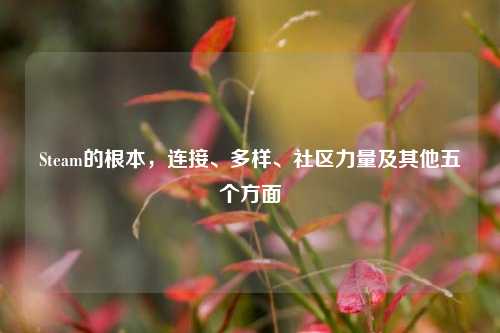 Steam的根本,连接、多样、社区力量及其他五个方面