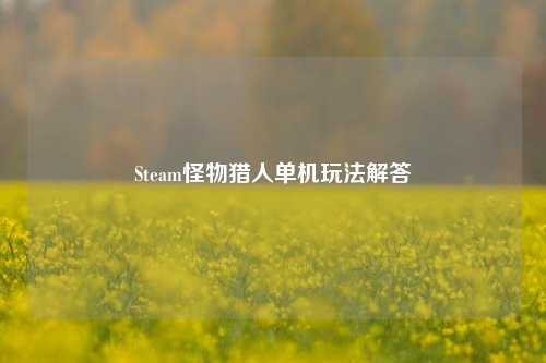 Steam怪物猎人单机玩法解答