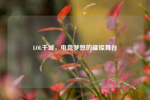 LOL千城,电竞梦想的璀璨舞台