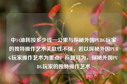 中14油耗投多少钱一公里与探秘外国PUBG玩家的独特操作艺术关联性不强,若以探秘外国PUBG玩家操作艺术为重点,标题可为,探秘外国PUBG玩家的独特操作艺术