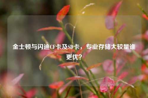 金士顿与闪迪CF卡及SD卡,专业存储大较量谁更优?