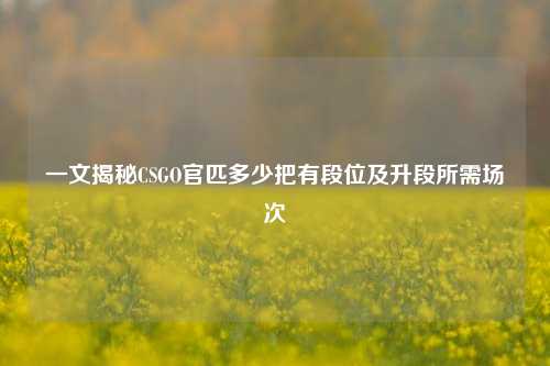 一文揭秘CSGO官匹多少把有段位及升段所需场次