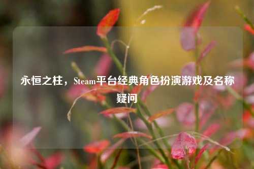 永恒之柱,Steam平台经典角色扮演游戏及名称疑问
