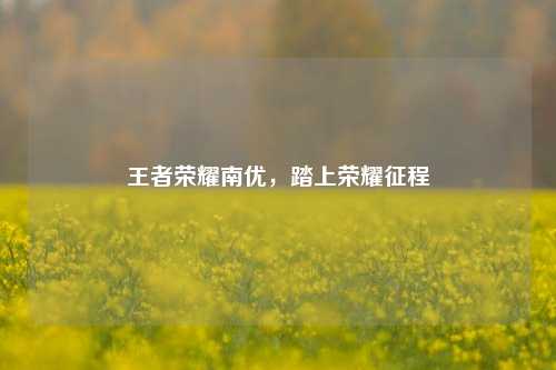 王者荣耀南优,踏上荣耀征程