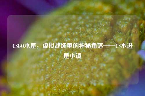 CSGO木屋，虚拟战场里的神秘角落——CS木进屋小镇