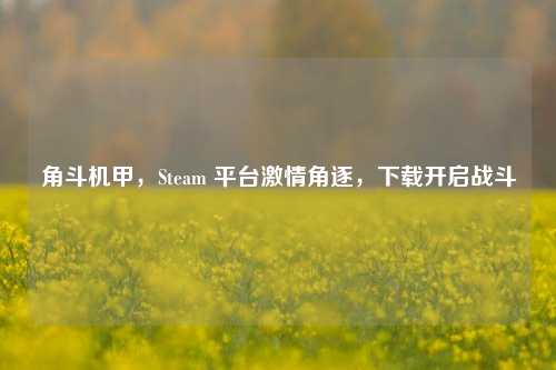 角斗机甲,Steam 平台激情角逐,下载开启战斗