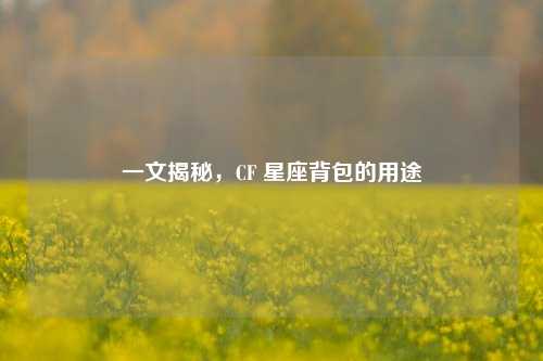 一文揭秘，CF 星座背包的用途