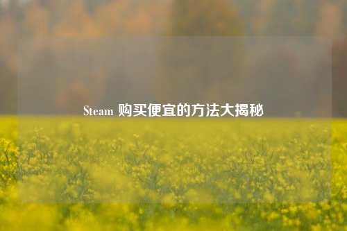 Steam 购买便宜的方法大揭秘