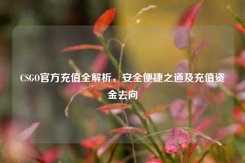 CSGO官方充值全解析，安全便捷之道及充值资金去向