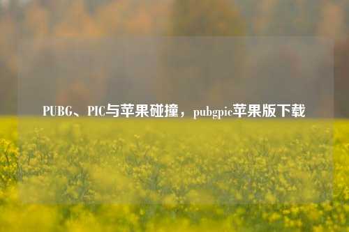 PUBG、PIC与苹果碰撞,pubgpic苹果版下载