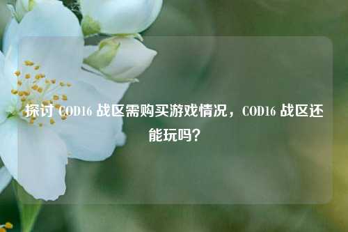探讨 COD16 战区需购买游戏情况,COD16 战区还能玩吗?