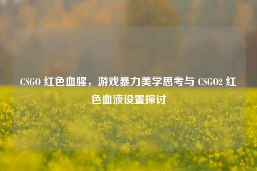CSGO 红色血腥,游戏暴力美学思考与 CSGO2 红色血液设置探讨