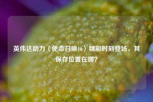 英伟达助力〈使命召唤16〉精彩时刻登场，其保存位置在哪？