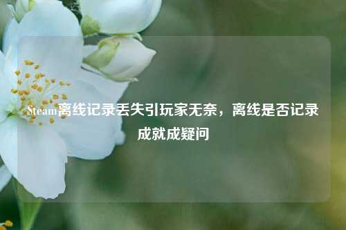 Steam离线记录丢失引玩家无奈,离线是否记录成就成疑问