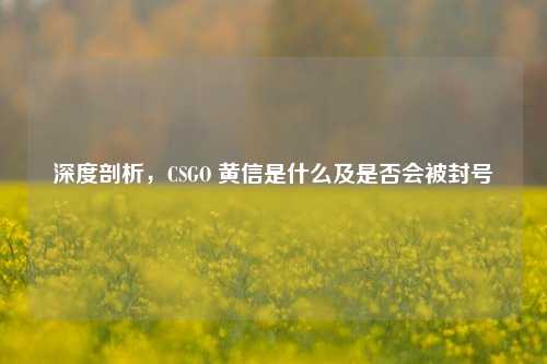 深度剖析，CSGO 黄信是什么及是否会被封号
