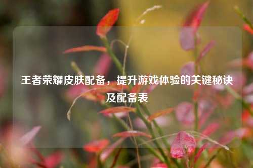 王者荣耀皮肤配备，提升游戏体验的关键秘诀及配备表
