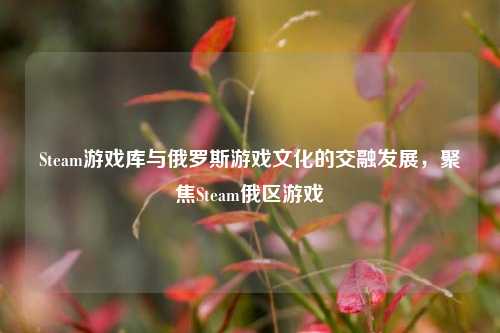 Steam游戏库与俄罗斯游戏文化的交融发展,聚焦Steam俄区游戏