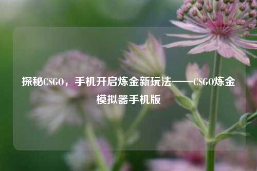 探秘CSGO,手机开启炼金新玩法——CSGO炼金模拟器手机版