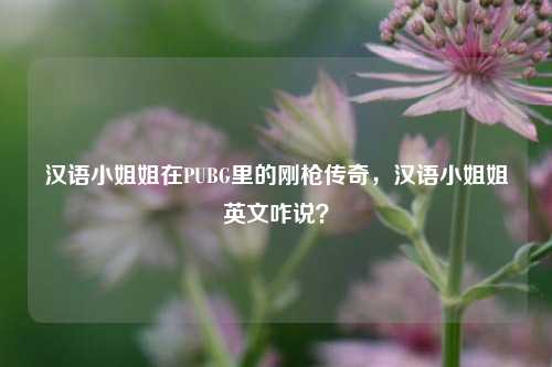 汉语小姐姐在PUBG里的刚枪传奇，汉语小姐姐英文咋说？