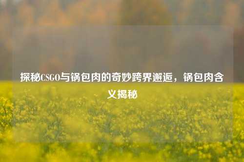探秘CSGO与锅包肉的奇妙跨界邂逅,锅包肉含义揭秘