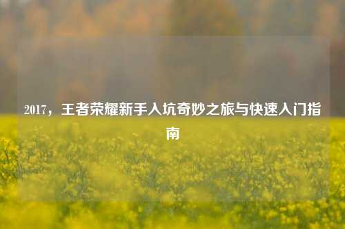 2017，王者荣耀新手入坑奇妙之旅与快速入门指南