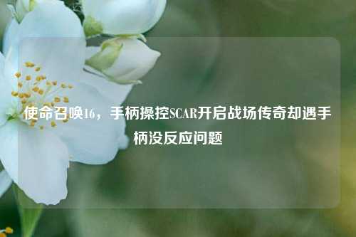 使命召唤16，手柄操控SCAR开启战场传奇却遇手柄没反应问题