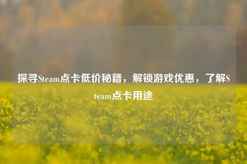 探寻Steam点卡低价秘籍，解锁游戏优惠，了解Steam点卡用途