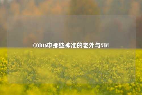 COD16中那些神准的老外与XIM