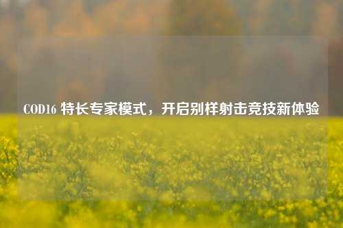 COD16 特长专家模式，开启别样射击竞技新体验