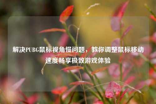 解决PUBG鼠标视角慢问题，教你调整鼠标移动速度畅享极致游戏体验